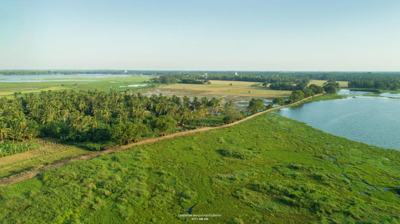 Dearly Holiday Home And Safari Tissamaharama Ngoại thất bức ảnh