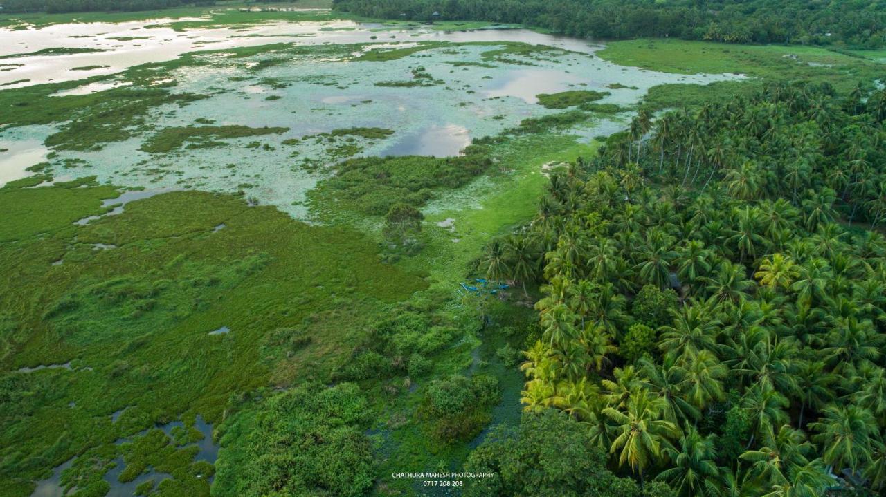 Dearly Holiday Home And Safari Tissamaharama Ngoại thất bức ảnh