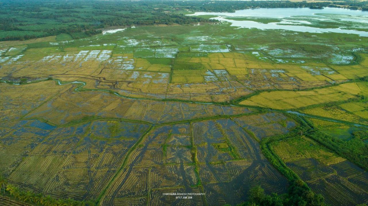 Dearly Holiday Home And Safari Tissamaharama Ngoại thất bức ảnh